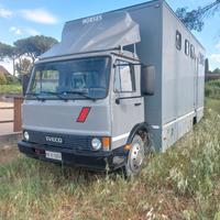 Van trasporto 5 cavalli
