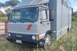 Van trasporto 5 cavalli