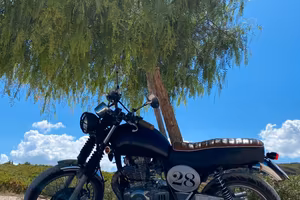 SUZUKI TU 250 SCRAMBLER/CEFE RACER