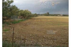 Terreno Agricolo San Gavino Monreale [A4302426]