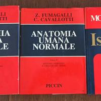 Anatomia Umana Volume 1 e 2 + Istologia