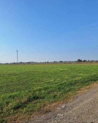 Immobile in asta di 15170 m² a Brembio