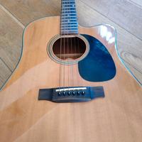 Chitarra Blueridge serie  BR40CE7