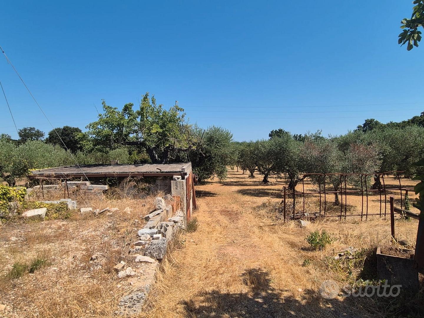 C.da Montetessa, trullo da ristrutturare e terreno - Vista 4