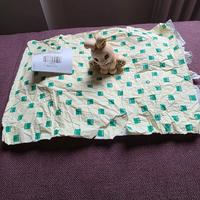 Coniglietto thun bauli 2025 on cambio gattino nero