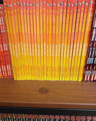 maison ikkoku manga completi introvabili 