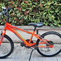 Bicicletta mountan bike 
