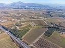 ter-agricolo-a-bardolino