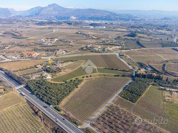 TER. AGRICOLO A BARDOLINO