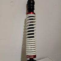 ammortizzatore malossi