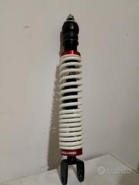 ammortizzatore malossi