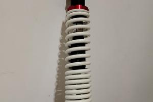 ammortizzatore malossi