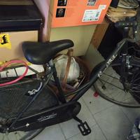 bici varie 