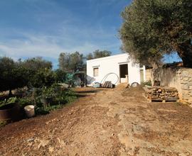 CASA DI CORTE A OSTUNI