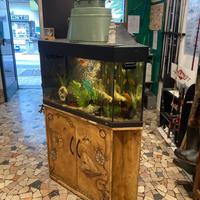 Acquario ad angolo con mobile