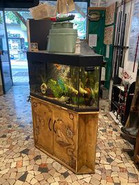 Acquario ad angolo con mobile