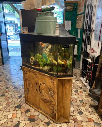 Acquario ad angolo con mobile