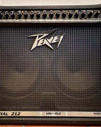Amplificatore da chitarra Peavey Special 212