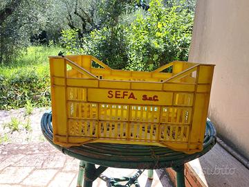 Cassette olive 16 pezzi
