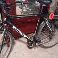 Biciclette uomo e donna.