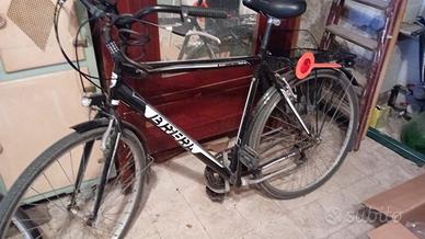 Biciclette uomo e donna.