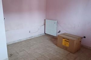 Appartamemto Piano Terra