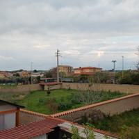 Terreno 1000mq a Tagliatella (RM) - Recintato e Se