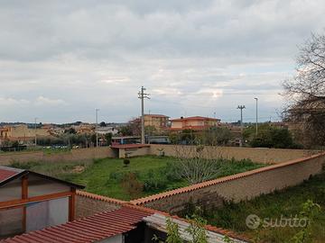 Terreno 1000mq a Tagliatella (RM) - Recintato e Se