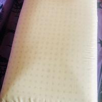 Guanciale il puro lattice naturale