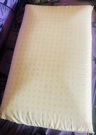 Guanciale il puro lattice naturale