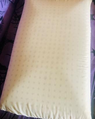 Guanciale il puro lattice naturale