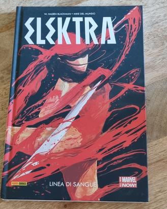 Elektra (marvel now)