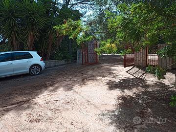 Casa singola e trullo