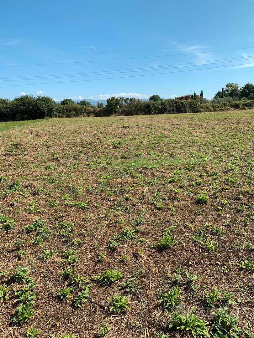 Terreno 11.000 mq vicino Roma - Vista 3