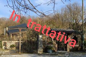 Tenuta / Casale