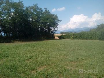 Verderio terreno agricolo