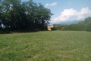 Verderio terreno agricolo