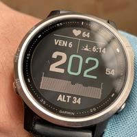 Smart watch Garmin Fenix 6S