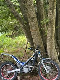 Trial sherco 290 2009