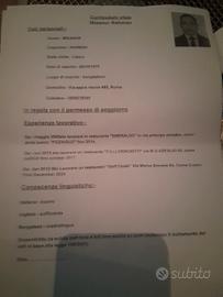 Cuoco, aiuto cuoco e aiuto pizzaiolo