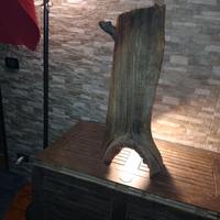 Scorcio cortecciato castagno secolare