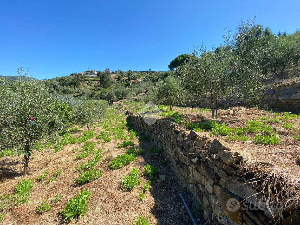 TER. RESIDENZIALE A BORDIGHERA - Vista 3