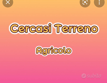 C. e. r. c. a. s. i. Terreno Agricolo Tramutola