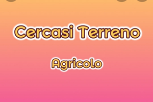 C. e. r. c. a. s. i. Terreno Agricolo Tramutola