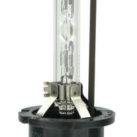 Lampada xenon 4300 K D6S 1 pezzo