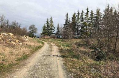 Immobile in asta di 1860 m² a Gazzola