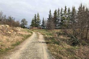 Immobile in asta di 1860 m² a Gazzola