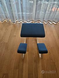 Varier Balans sedia ergonomica