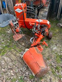 Fresetta interceppi baiano