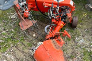 Fresetta interceppi baiano